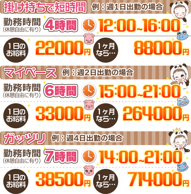収入例