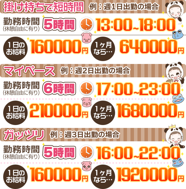 収入例