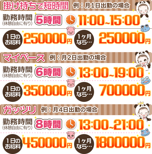 収入例